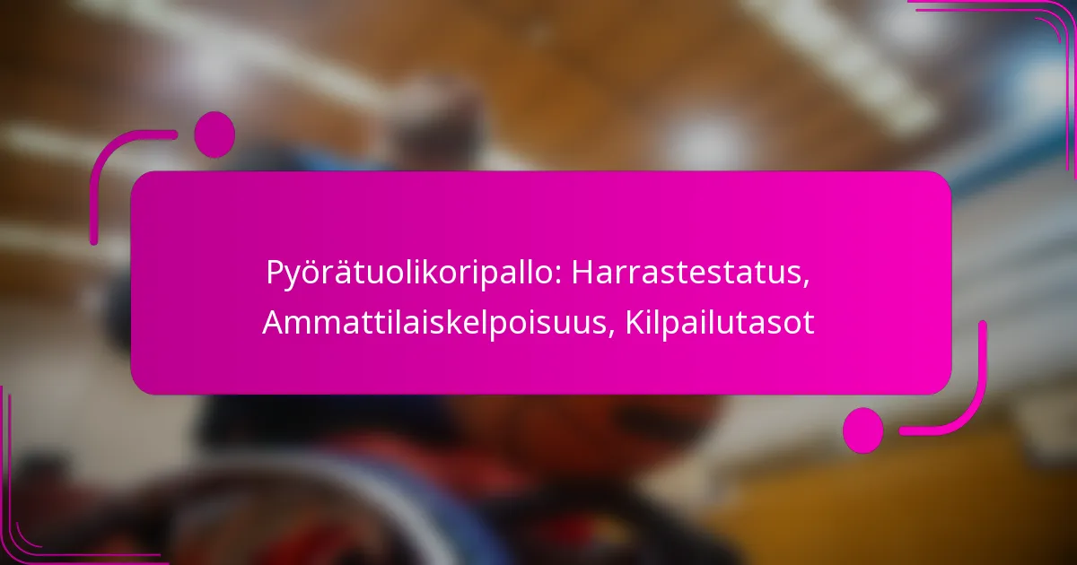 Pyörätuolikoripallo: Harrastestatus, Ammattilaiskelpoisuus, Kilpailutasot